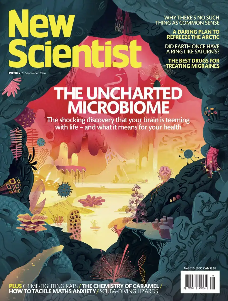 New Scientist - 28 September 2024